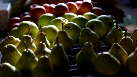Se creó el Programa de Asistencia para la cadena de peras y manzanas