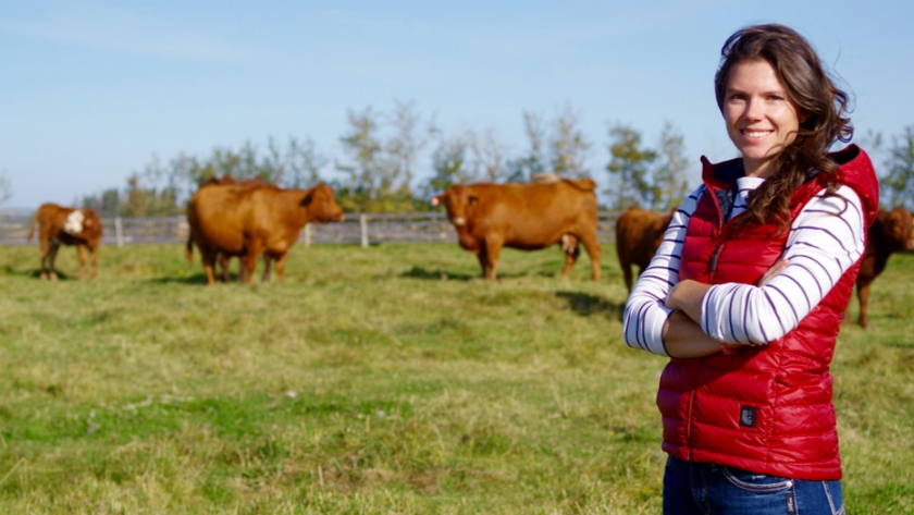 Encontrar un papel en la ciencia detrás de la producción de carne roja