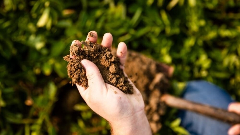 Explorar la microbiota, una parada clave en el camino hacia la captura de carbono