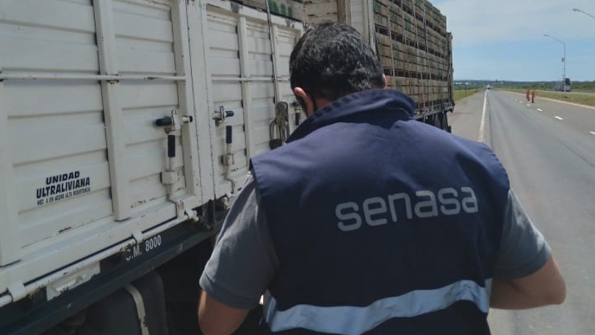 Continúan los controles a transportes de ganado en pie y alimentos en rutas de Entre Ríos