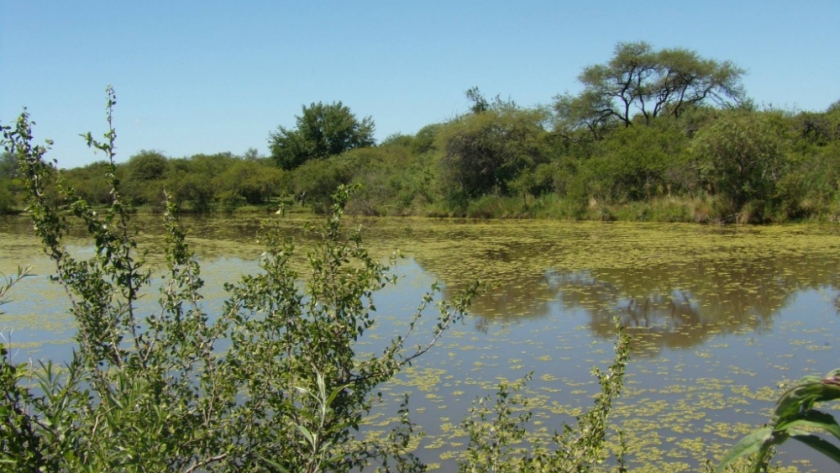 La reserva natural Montecito de Lovera de Cerrito se sumó al Sistema Provincial de Áreas Protegidas