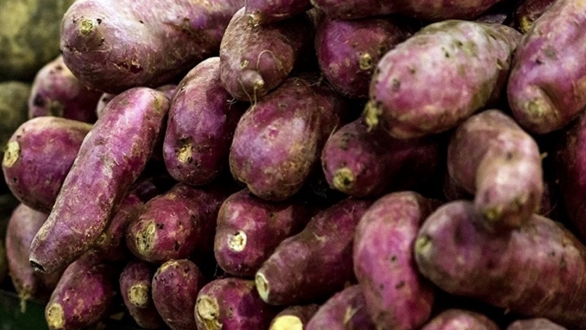 Simoca producirá dulce de batata con su marca ciudad