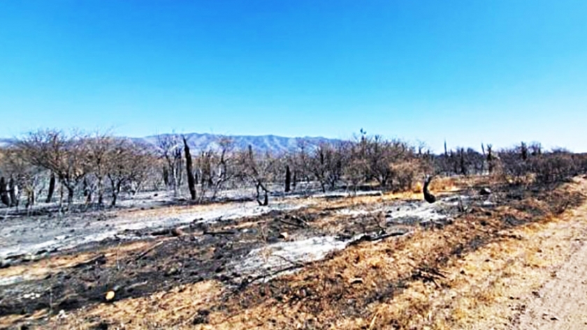 Agricultura declara el estado de desastre agropecuario en Córdoba por los incendios