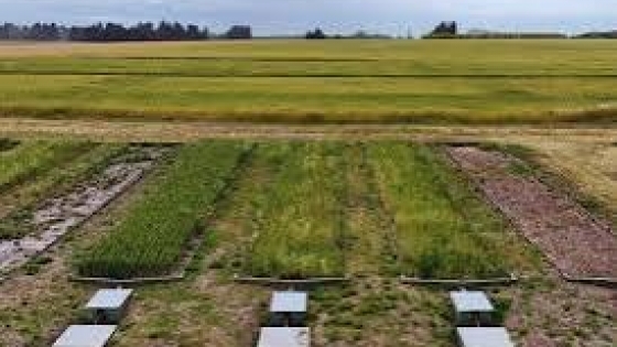 Un estudio del INTA muestra que el manejo conservacionista puede reducir más de la mitad la erosión del suelo