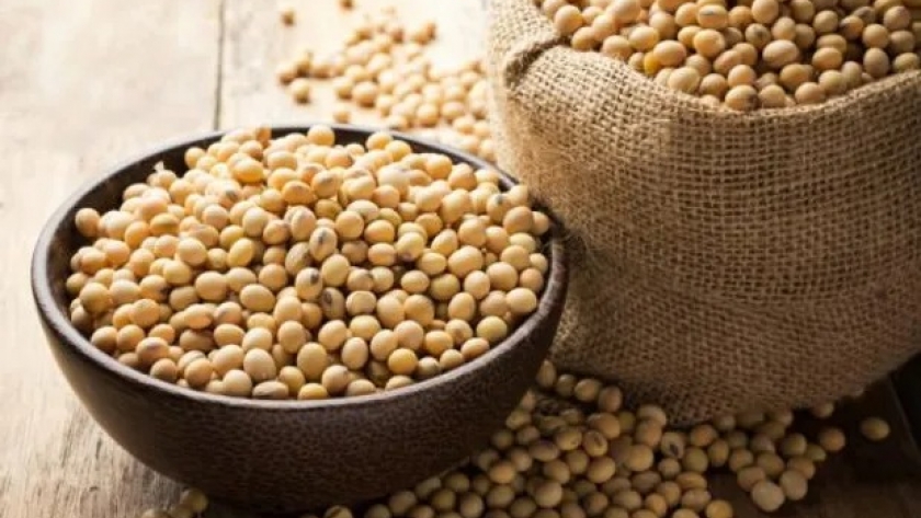 Cadenas sojeras del Mercosur piden prorrogar el uso de glifosato en la UE