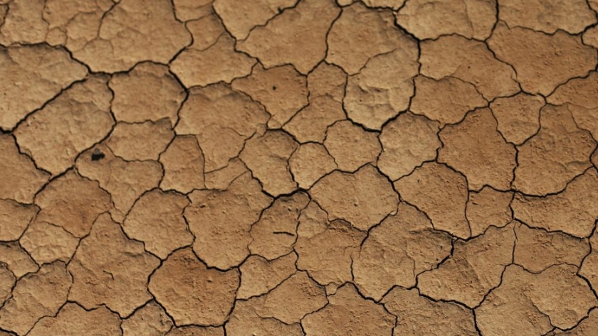 Las ONG y las fundaciones quieren dictar el destino agrícola de África