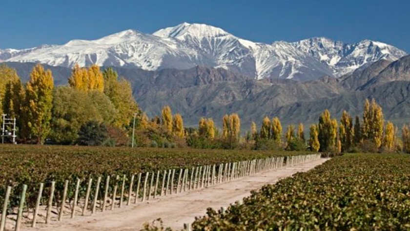 Atracciones en el corazón de Mendoza