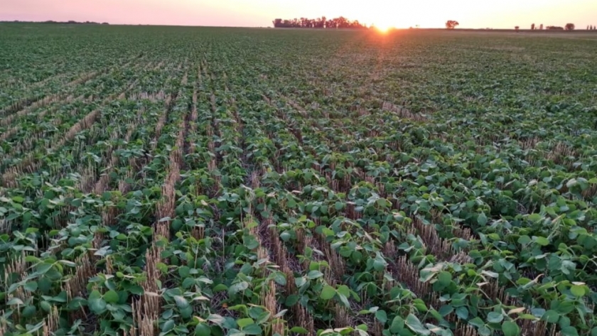 El mercado inmobiliario rural muestra signos de recuperación impulsado por la creciente demanda agrícola