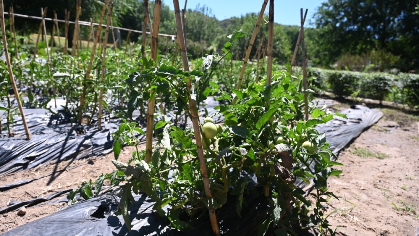 El Ecoparque Cruz de Piedra implementa una huerta hortícola