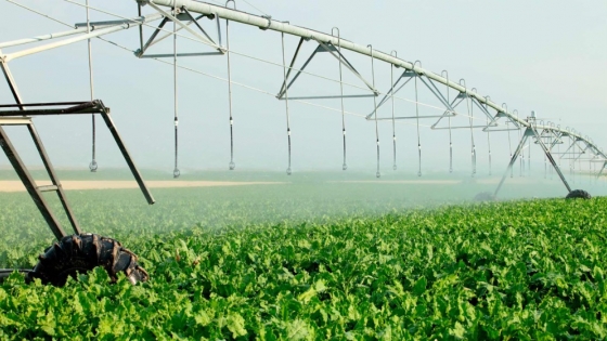 Riego: clave para mejorar la eficiencia y rentabilidad de la producción agropecuaria en Argentina