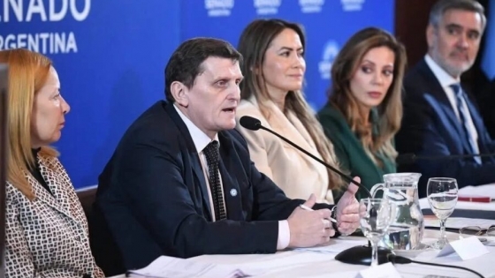 Misiones se posiciona como referente en créditos de carbono