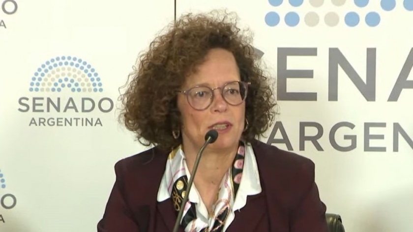 El Municipio expuso sobre el Área Metropolitana de Mendoza un Seminario Internacional en el Senado de la Nación