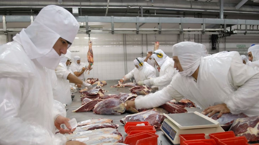 Tras la quita de restricciones, el volumen exportado de carne vacuna fue el más alto de los últimos 34 años