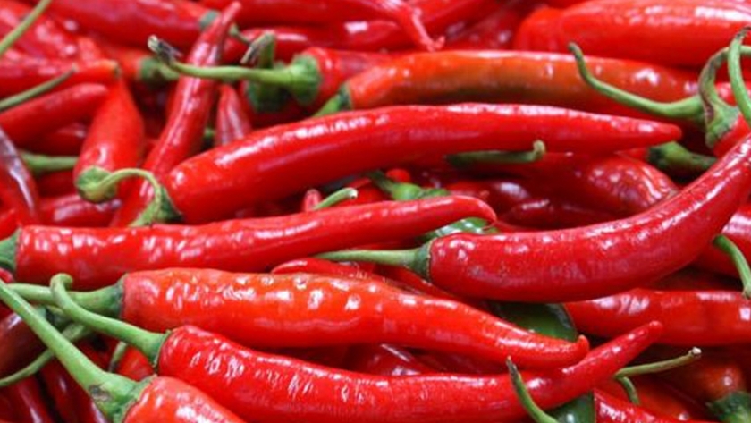Rusia prohíbe los tomates y pimientos de invernadero de la región de Fergana en Uzbekistán
