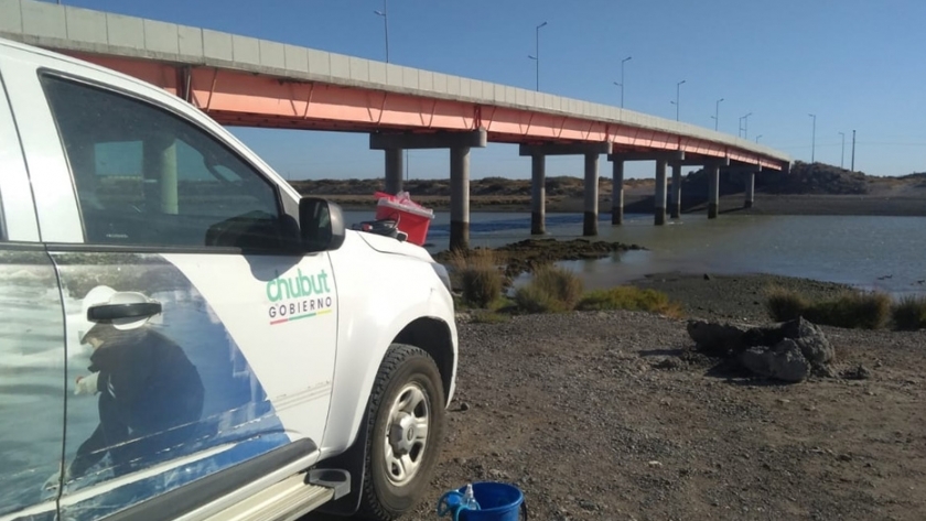 Ambiente continúa con el monitoreo de calidad de agua del río Chubut
