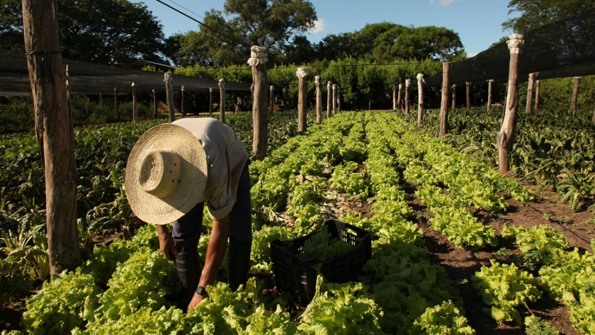 Promueven la aplicación de las BPA para la producción de alimentos en Formosa