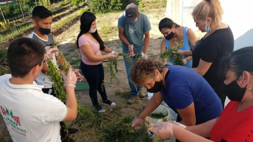 Promotores del programa Invernaderos se capacitan en materia orgánica y armado de composteras