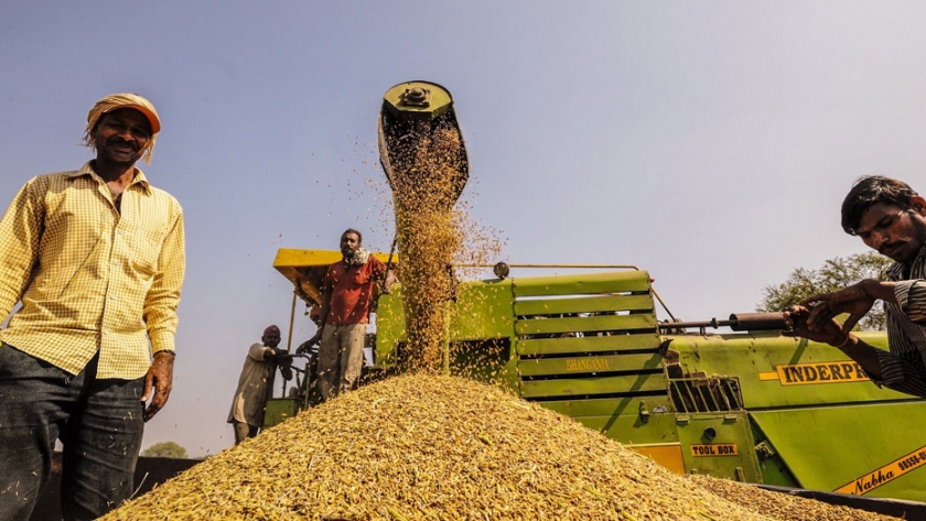 ¿Qué tan prometedora es la industria de procesamiento de alimentos para la agricultura india? 