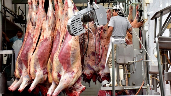 <Aluvión de productores y empresas que suspenden faena y ventas por el cierre de exportaciones de carne