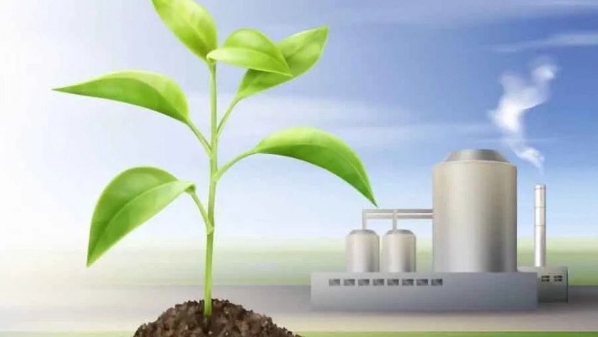 El IICA y el MINCYT convocan a Investigadores en Bioeconomia a presentar Proyectos Interamericanos