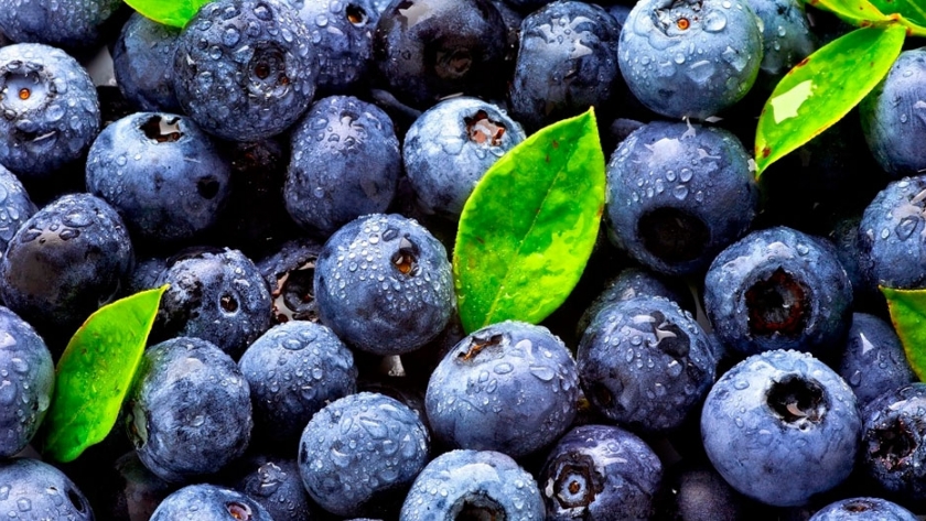 El arándano de calidad de exportación también apunta al consumo interno