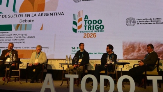 Debate por una nueva ley de suelos: productores temen más controles y especialistas advierten sobre el deterioro agrícola