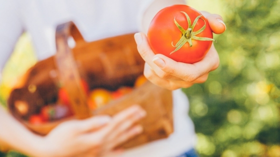 Alimentos Orgánicos: Una Opción Saludable y Sostenible