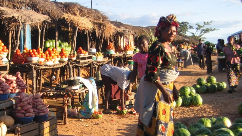 China ayuda a diversificar la economía de Zambia