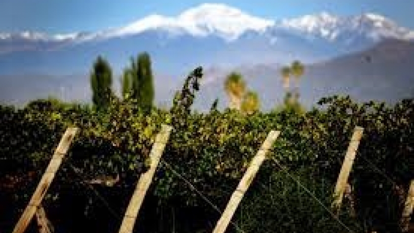 “Argentina a la mesa” un viaje virtual que recorre la cultura gastronómica de nuestro país