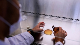 Logran transformar los residuos de soja en productos de valor nutricional