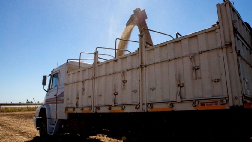 El flete camionero para transportar granos, más caro en Argentina que en Brasil y EE.UU