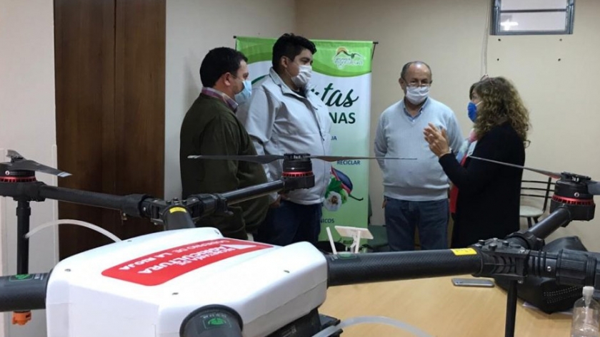 Drones listos: La Rioja en alerta por posible llegada de langostas