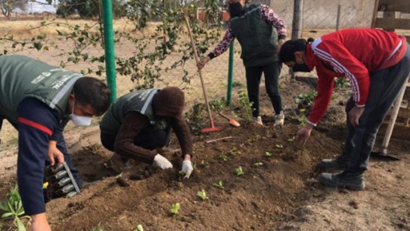 Comedores sociales continúan mejorando sus huertas agroecológicas