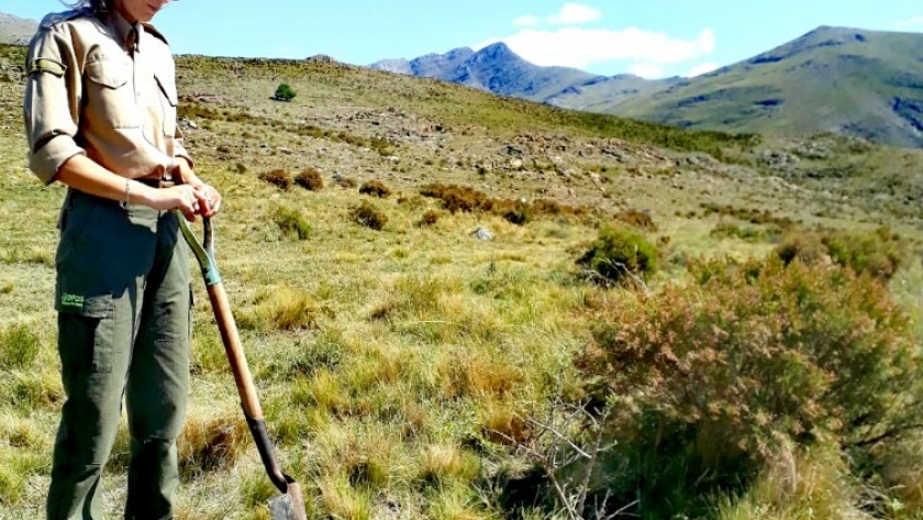 Plantamos Memoria en Nuestras Reservas Naturales