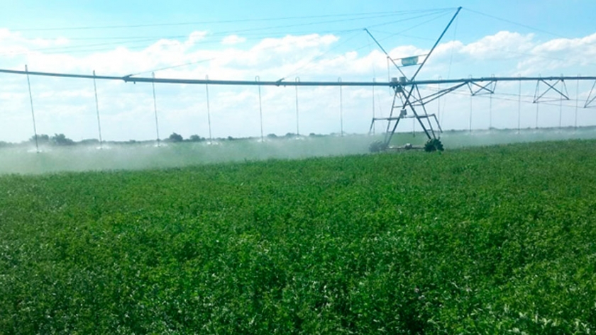 La Pampa: avanza un mega emprendimiento productivo en 25 de Mayo