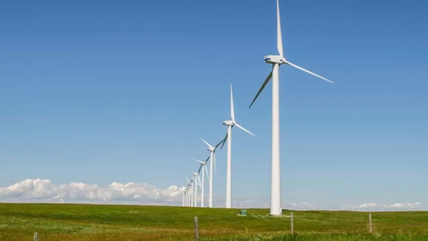 Energías renovables: empresas danesas planean invertir en la Argentina