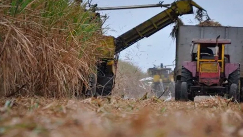 La zafra le ganó al clima y cerró con muy buenos rendimientos