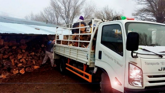 El sector forestal del Chaco, en crisis: caída de la producción, pérdida de mercados y costos en alza frenan la actividad