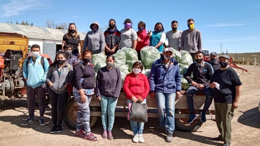 Primera cosecha en el Banco de Alimentos en Trelew