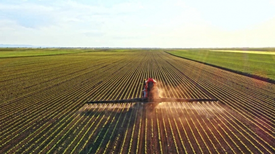 ¿Un nuevo desafío para el agro?: Cambios clave en el uso de fitosanitarios por la Ley de Especies en Peligro en EE.UU.