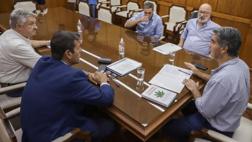 Articulan medidas para regular la producción de cannabis medicinal y cáñamo industrial en el Chaco
