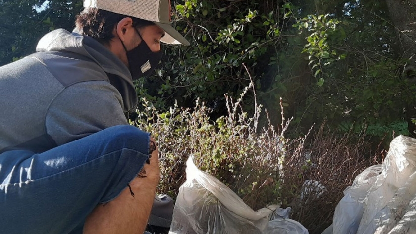 Reforestaron con Coihues, Ñires y Lengas la ladera sur del cerro Catedral