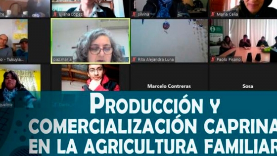 Conversatorio Online: Producción y comercialización caprina en la agricultura familiar