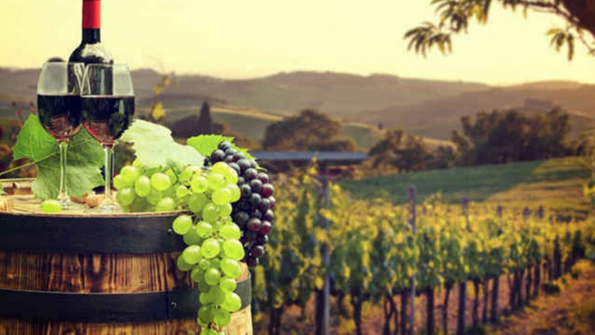 La producción española de vino subirá entre 16% y 19% en 2020, según las cooperativas