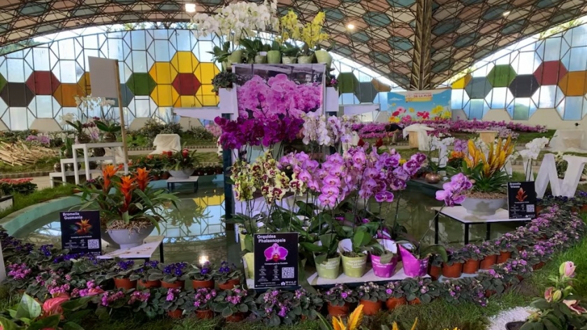 Fiesta Nacional de la Flor, un clásico de primavera