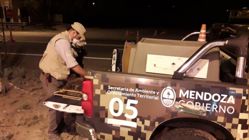 Ambiente realizó controles de caza ilegal de fauna silvestre