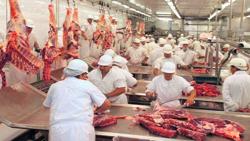 Afirman que la carne vacuna alcanzará al millón de toneladas de exportación
