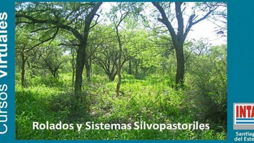 El Curso "Rolados y Sistemas Silvopastoriles" del INTA Santiago concluyó sus clases virtuales