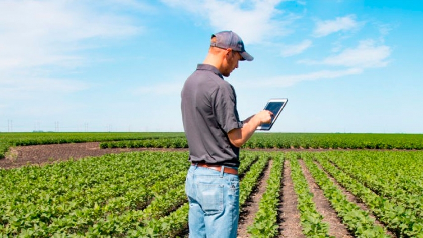 Conectividad: claves para el agro que se viene