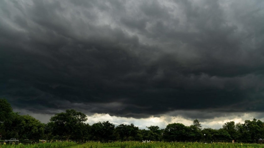 Lluvias críticas: más de 200 mm caen en zonas clave y renuevan las expectativas para los cultivos